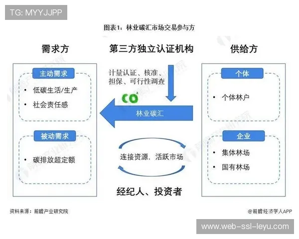 市场调整期内容供给扩容，满足细分群体观看需求